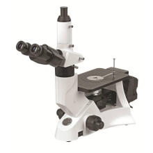 Bestscope BS-6000B Microscopio Metalúrgico Invertido